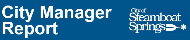 City Manager Report Header 2018