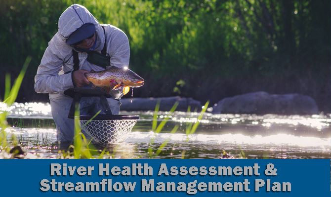 Health Assessment