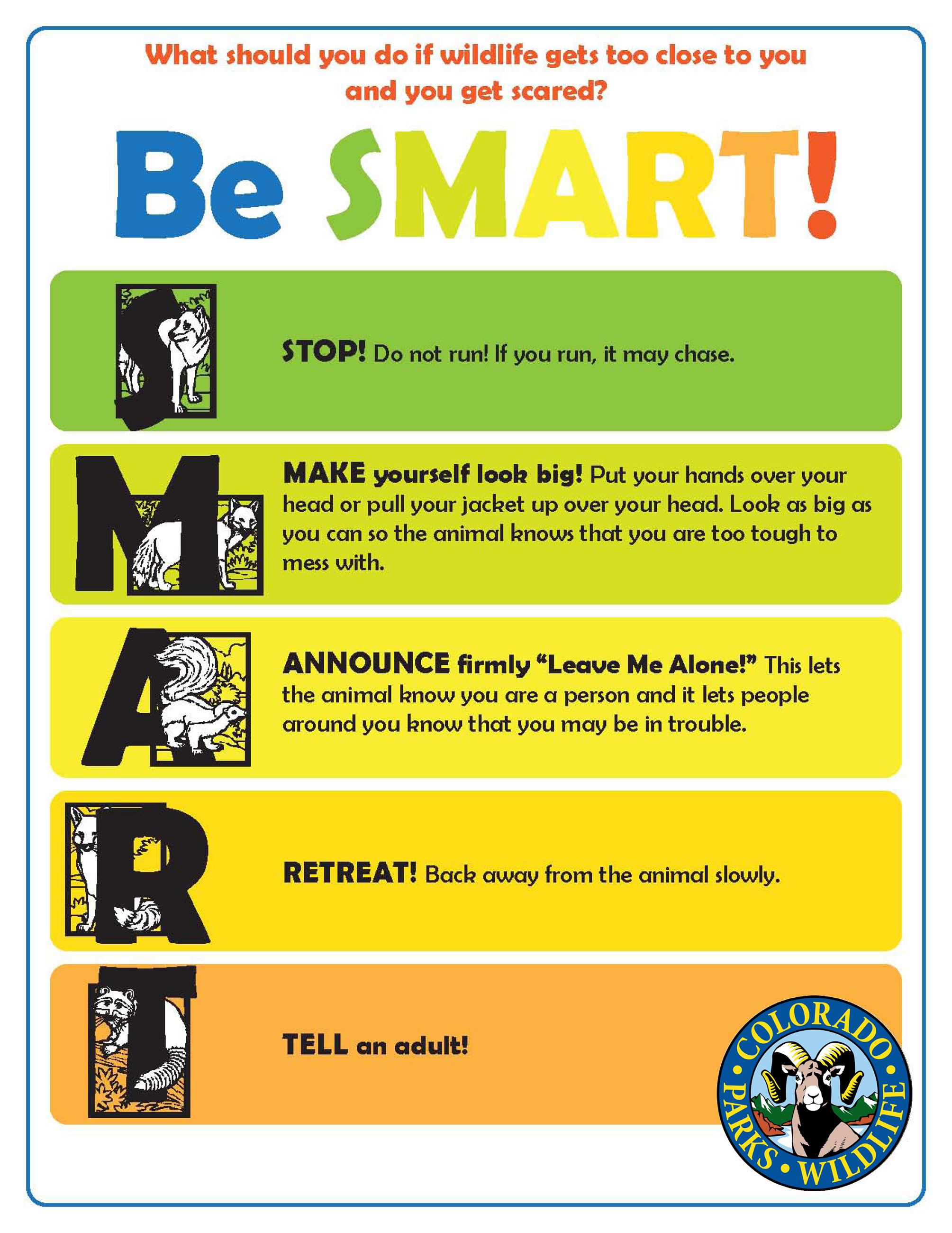 SMART-Animals