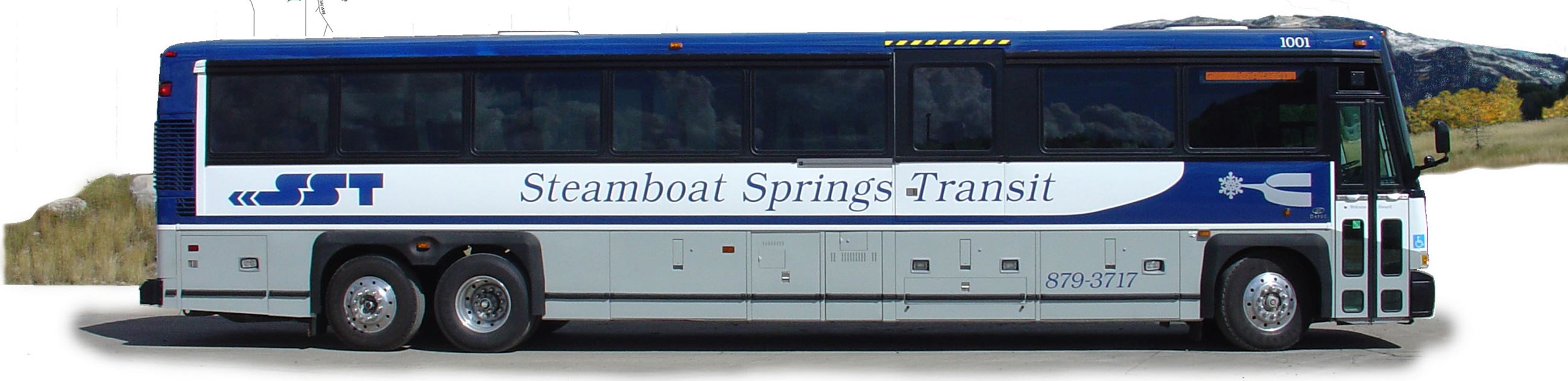 Regional Coach